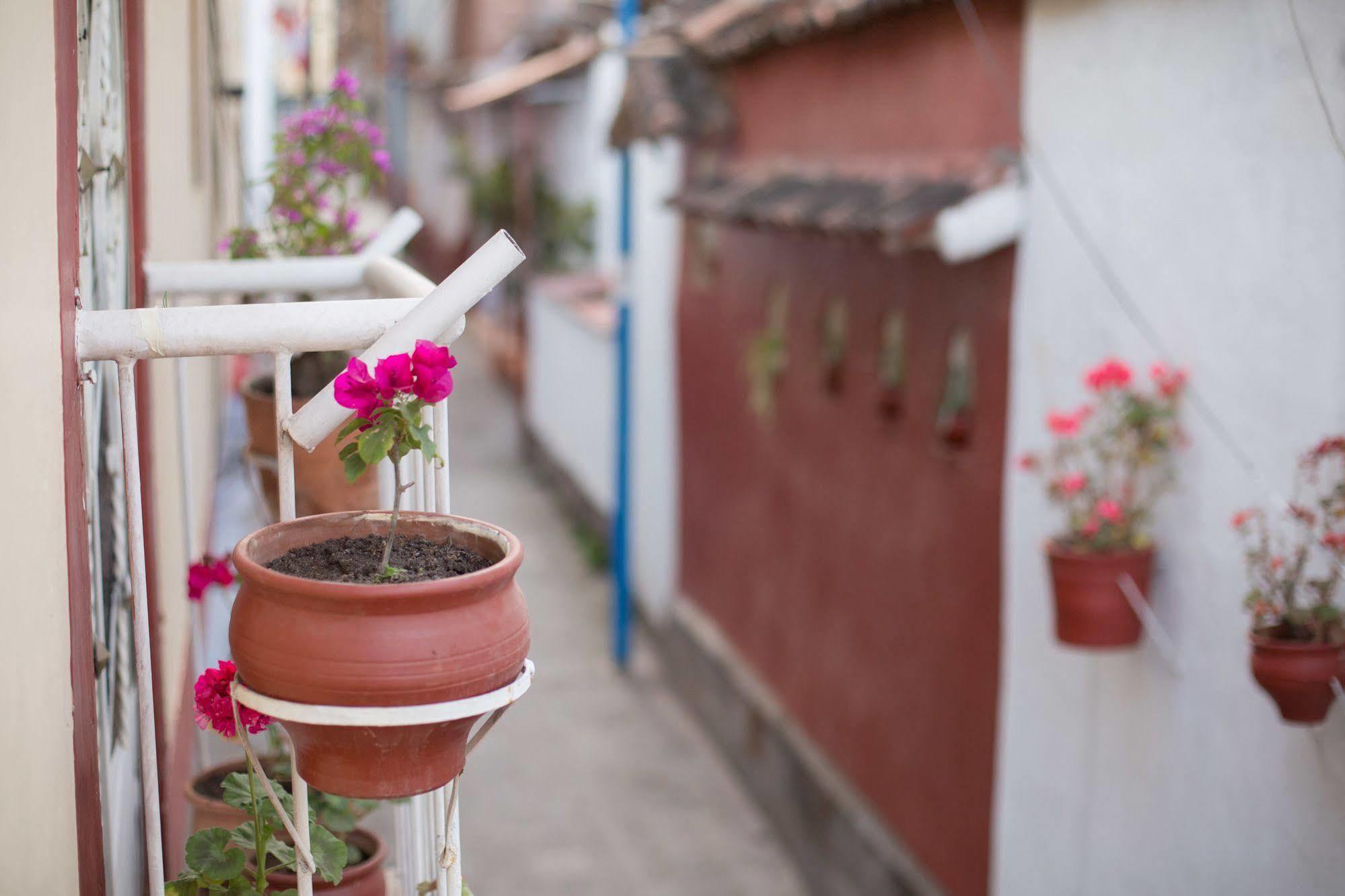 Los Aticos B&B With Coworking Cusco Exteriör bild